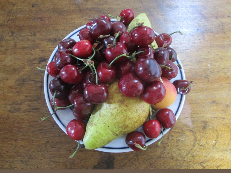 Una cesta de cerezas, peras y albaricoques de una cooperativa de La Almunia, un regalo del Club de Lectores de La Almunia reflejando las frutas de refectorios del siglo XVIII. Una cesta de cerezas, peras y albaricoques de una cooperativa de La Almunia, un regalo del Club de Lectores de La Almunia reflejando las frutas de refectorios del siglo XVIII.