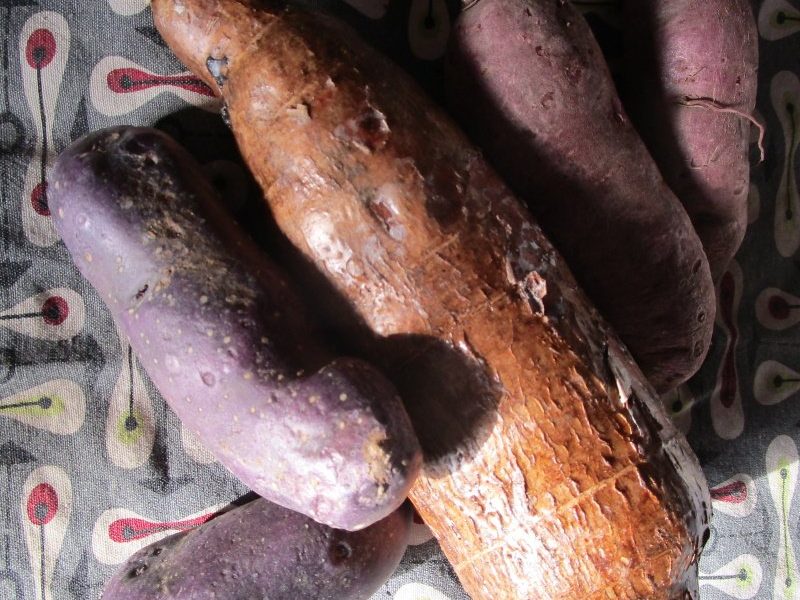 Patata morada, ñame y boniato, raíces buenas asadas como los nabos de Mainar de Juan Altamiras.