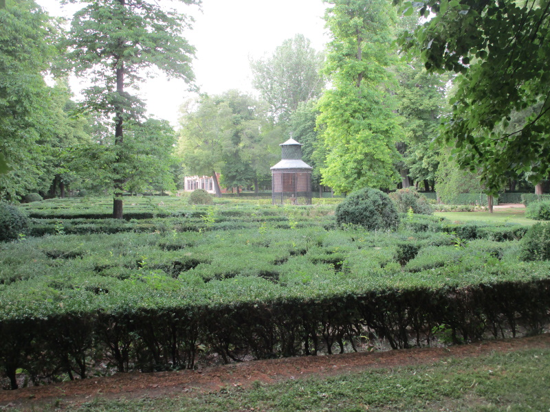 Aranjuez. Setas de boj marcaron el perfil de cada parterre en las huertas en el siglo XVIII, y aún sobreviven aquí, aunque la huerta ha desaparecido.
