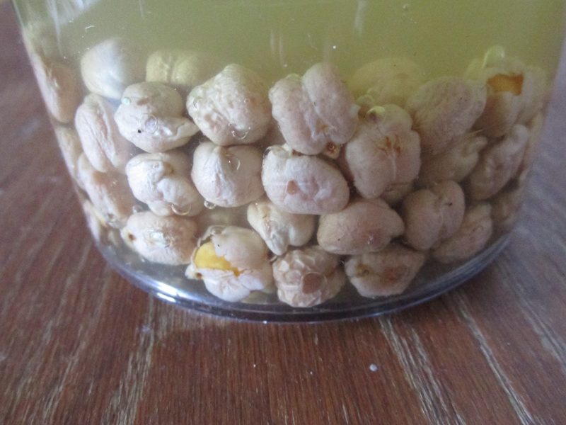 El caldo de cocción de acelgas sirve muy bien como agua de remojo por los garbanzos de cualquier olla o guiso. El caldo de cocción de acelgas sirve muy bien como agua de remojo por los garbanzos de cualquier olla o guiso.