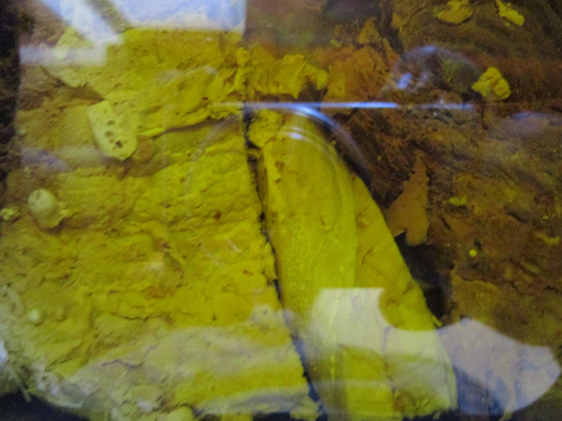 El aceite de oliva tiene que cubrir por completo el pescado frito, sea en pieza entera sea en dedos o filetes pequeños. El aceite de oliva tiene que cubrir por completo el pescado frito, sea en pieza entera sea en dedos o filetes pequeños.